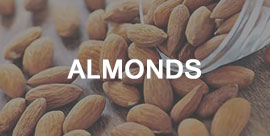 almonds -International trading company